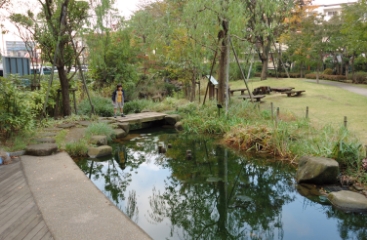 Image photo